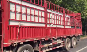 旭東PVC圍擋批發(fā)直供龍崗工地，2500米圍擋當(dāng)天閃電送達(dá)